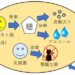 賞味期限が長くなるアイテム・パネトーネ種とは？【コモパンの通販】